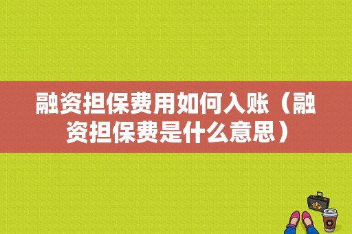 融资担保费用如何入账（融资担保费是什么意思）