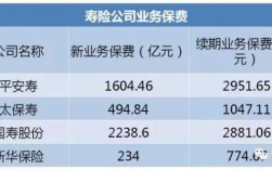 人保寿的银保续期（人保寿险续保）