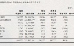 人保财险利润