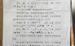 车险欺诈判决