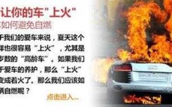 自燃险适合什么车