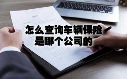 车险保险公司不赔怎么办（保险公司车险不理赔怎么办）