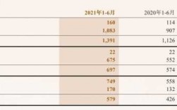 中国人保2015全年净利（人保2020年净利润）