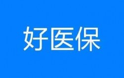 人保好医保购买（中国人保的好医保）