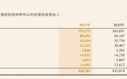 中国人保财务报告