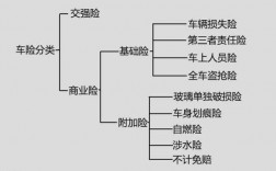 车险具体投保哪些项目