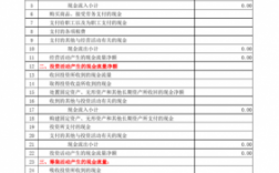 付社保费现金流量表选（现金流量表中社保费）