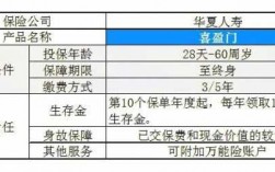 保障型保费退还吗（保障型保险多少钱一年）