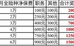 净保费对应（净保费指什么）