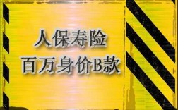 人保百万身价两全保险（人保百万身价两全保险满期返还）