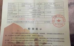 被执行人保单怎么办（被执行人保单怎么办理）