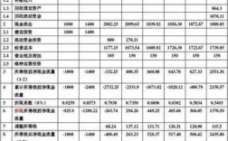 发起人保投资计划（发起人保投资计划怎么填）