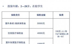 人保学平险保哪些内容（人保学平险保障范围）