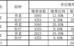 社保费用所属期是指