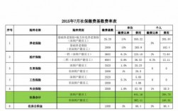 社保费用计提与支付（社保费用计提比例）