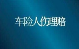 车险人伤客户的需求（车险人伤客户的需求是什么）