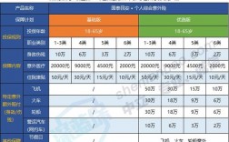 人保学生意外险保额