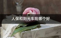 阳光车险和人保车险（阳光车险和人保车险比较时优势在哪）