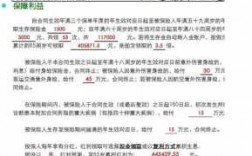 保险公司保费目标规划（保险公司业务目标）