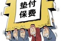 垫保费（垫保费是什么）