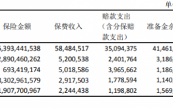 承保费用与保费收入（承保保费是什么意思）