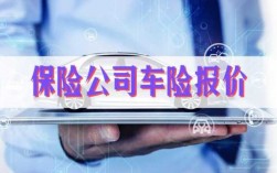 可以换报车险的人吗（可以更换车险公司吗）