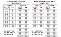 医疗责任保险保费收入（医疗责任保险保费收入怎么算）