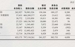 人保财险经营状况