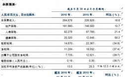 人保2013半年度报告