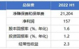 净保费保费1.06（净保险费）