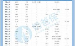 各家保险公司保费收入（各家保险公司偿付能力）