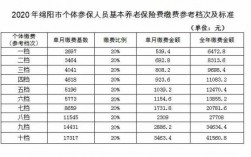 养老是社保费用是多少（养老保险社保每月多少）