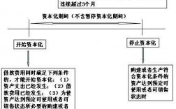 借款担保费用资本化