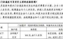 基金支付医保费用（医保的基金支付）