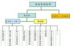 车险评估报告框架