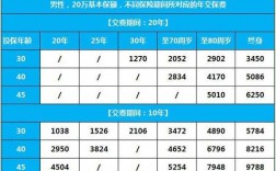 健康随e保保费多少钱（健康随e保重疾保障计划）