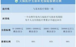 补充医疗风险型保费（补充医疗保险的风险管理）