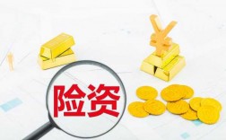 保费准备金（保费准备金是什么意思）