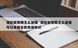 保险犹豫期怎么改保费（保险犹豫期怎么退款）