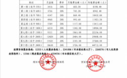 2018地税社保费（2021年社保缴费税务局）