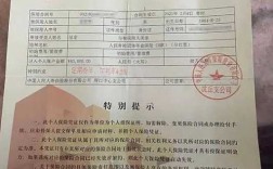 人保寿险官网保单金额