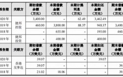 关联企业担保费支出