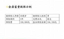 人保c型的简单介绍