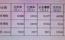 中国人保员工退休金（中国人保员工退休金怎么算）