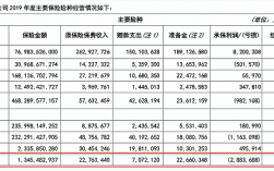 人保集团年报