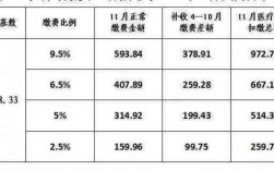 应缴纳保费的应付利息（应缴纳保险费）