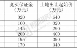 竞保费用（什么是竞买保证金）