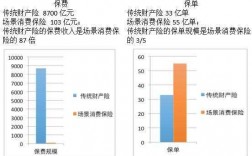 消费型保险保费增加（消费型保险保费增加的原因）