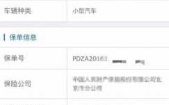 谁上网投保过车险