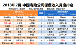 保险公司用保费投资